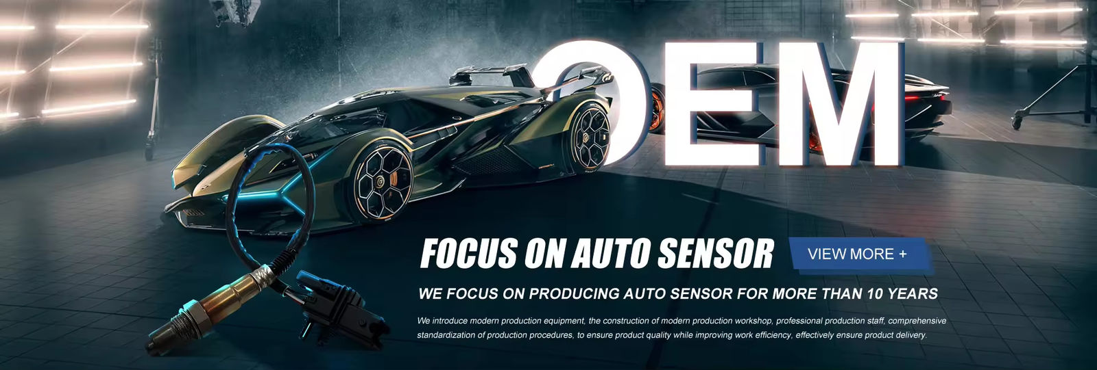Auto Oxygen Sensor